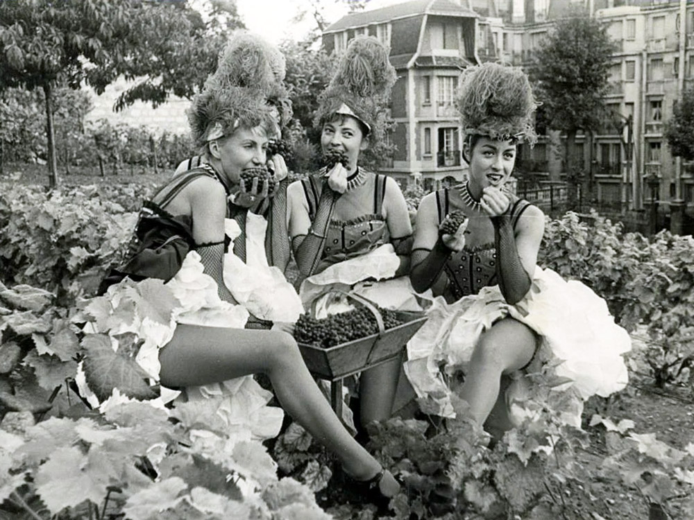 Le vignoble de Montmartre