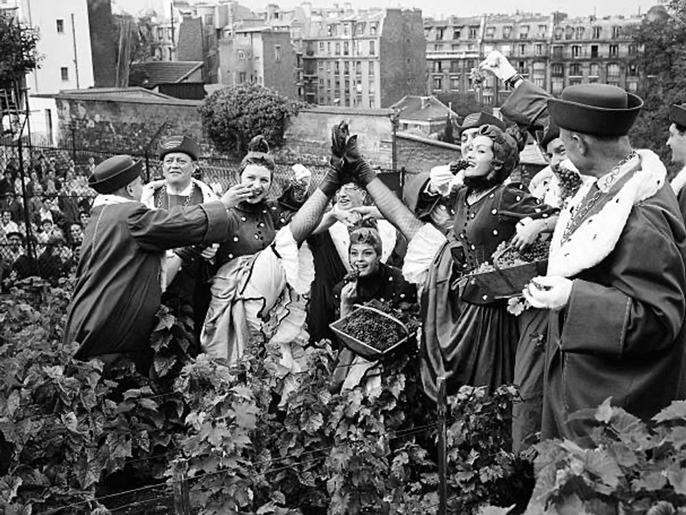 Vandanges de Montmartre en 1956 avec les danseuses du moulin rouge