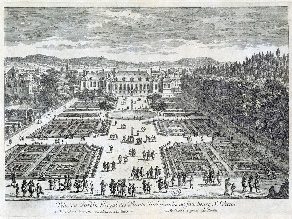 Jardin des plantes de Paris, Origine et création