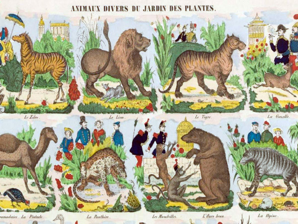 Histoire du zoo - ménagerie du jardin des plantes de Paris