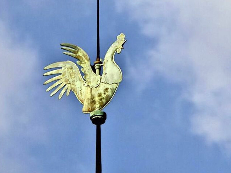 Le coq hermétique de Notre Dame de Paris