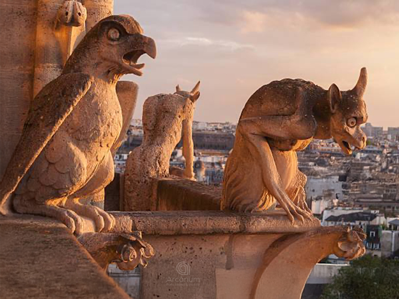 Lecture alchimique et herm&eacute;tique du bestiaire gothique de Notre-Dame, symbolisme &eacute;sot&eacute;rique