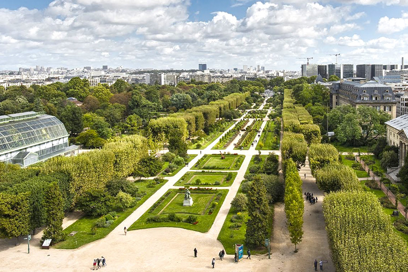 quiz-jardin-des-plantes-jeu-questions-paris-secret-insolite-arcanum-01.jpg